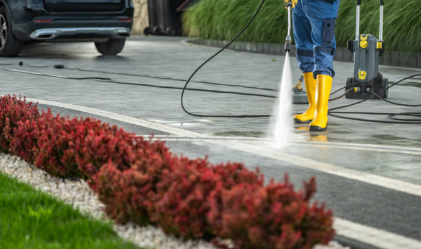 Best Soft Washing  in Burlington, OH